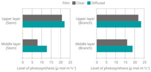 F-CleanComparisonLevelsof-photosynthesis