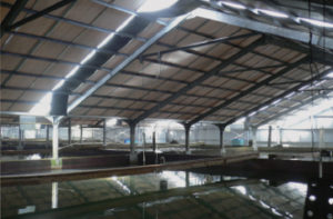 fish farm